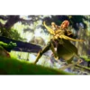 kf S97d876768b6645d098257190351e5544V - Dota 2 Merchandise